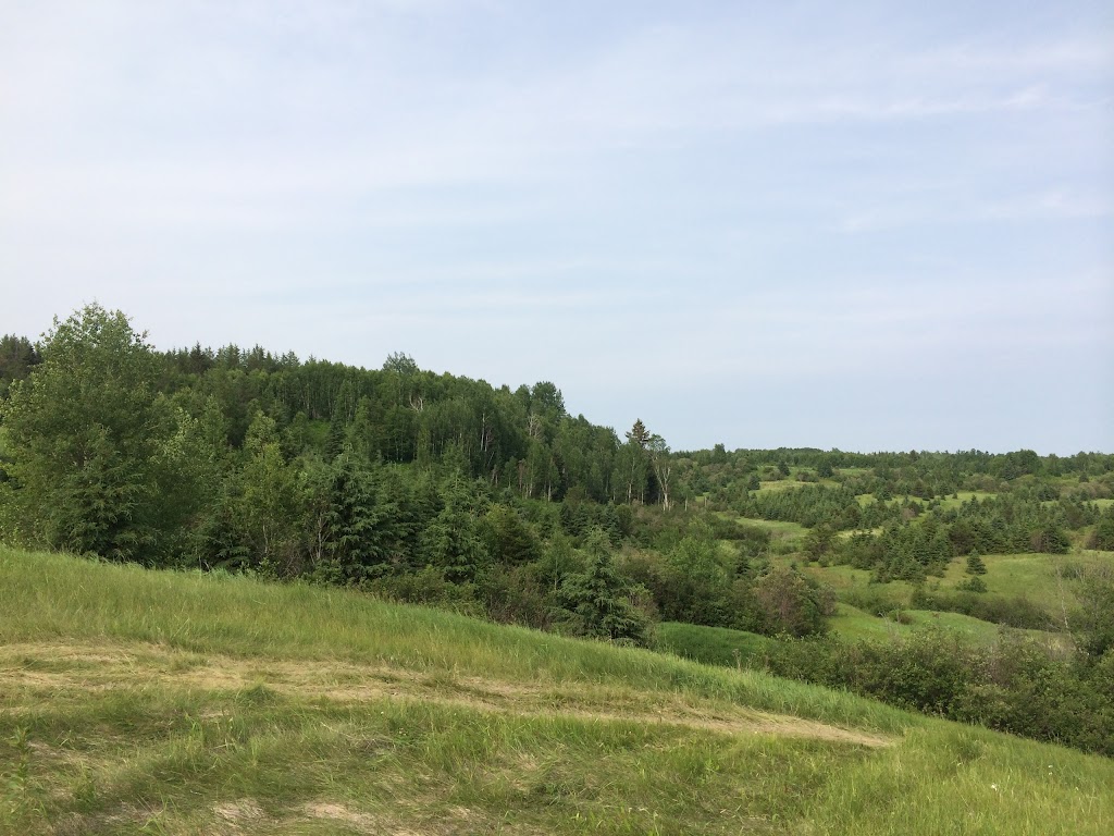 Développement Rivière Mistassibi | 855 Rang St Jean #803, Dolbeau-Mistassini, QC G8L 3R2, Canada | Phone: (419) 279-5231