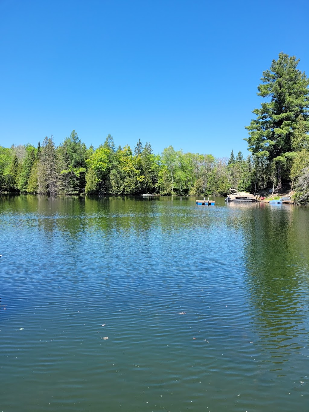 Palmerston Lake Marina | 9637 Road 509, Ompah, ON K0H 2J0, Canada | Phone: (613) 305-1723