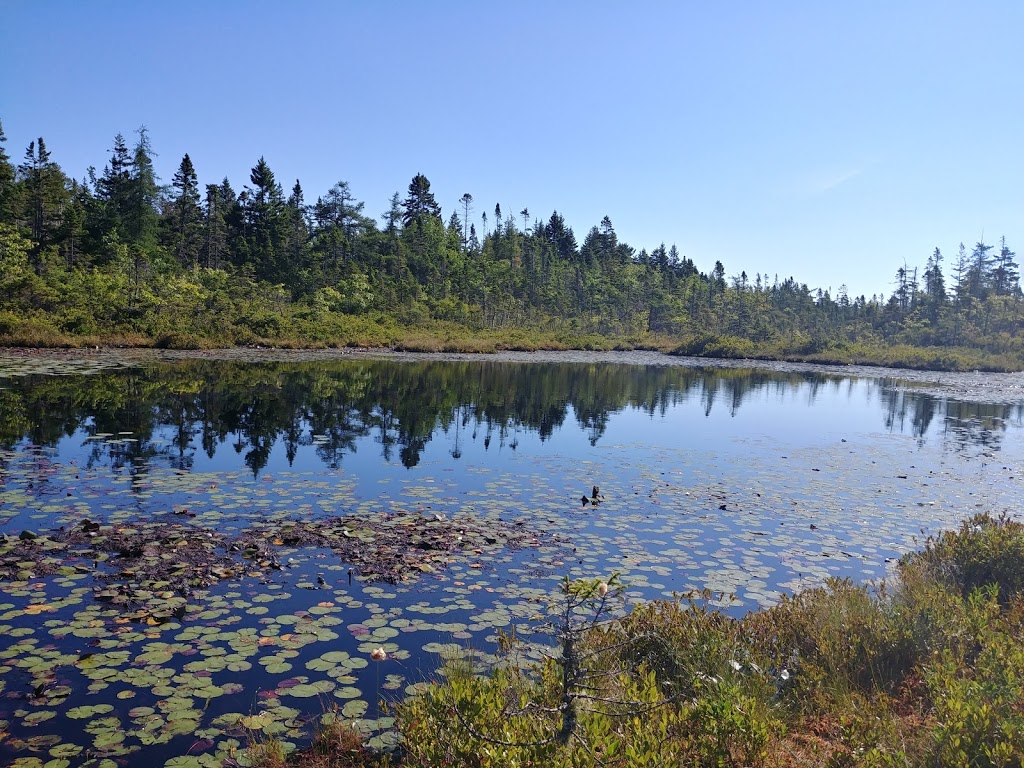 Indian Path Common Hiking Trail | Fish Peddler Rd, Riverport, NS B4V 2H1, Canada