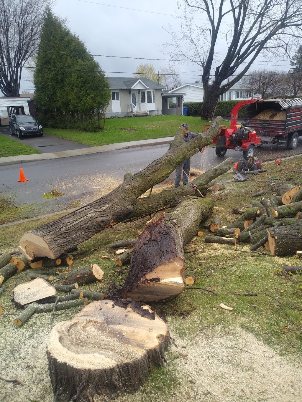 Élagage JM Abattage darbres - Laurentides | 2 Chem. des Tourterelles, Saint-Sauveur, QC J0R 1R1, Canada | Phone: (514) 833-1490