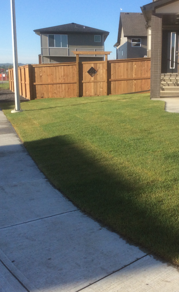 Jubilee Landscape Inc. | 6-10 Auburn Bay Park SE, Calgary, AB T3M 1K8, Canada | Phone: (403) 312-6780