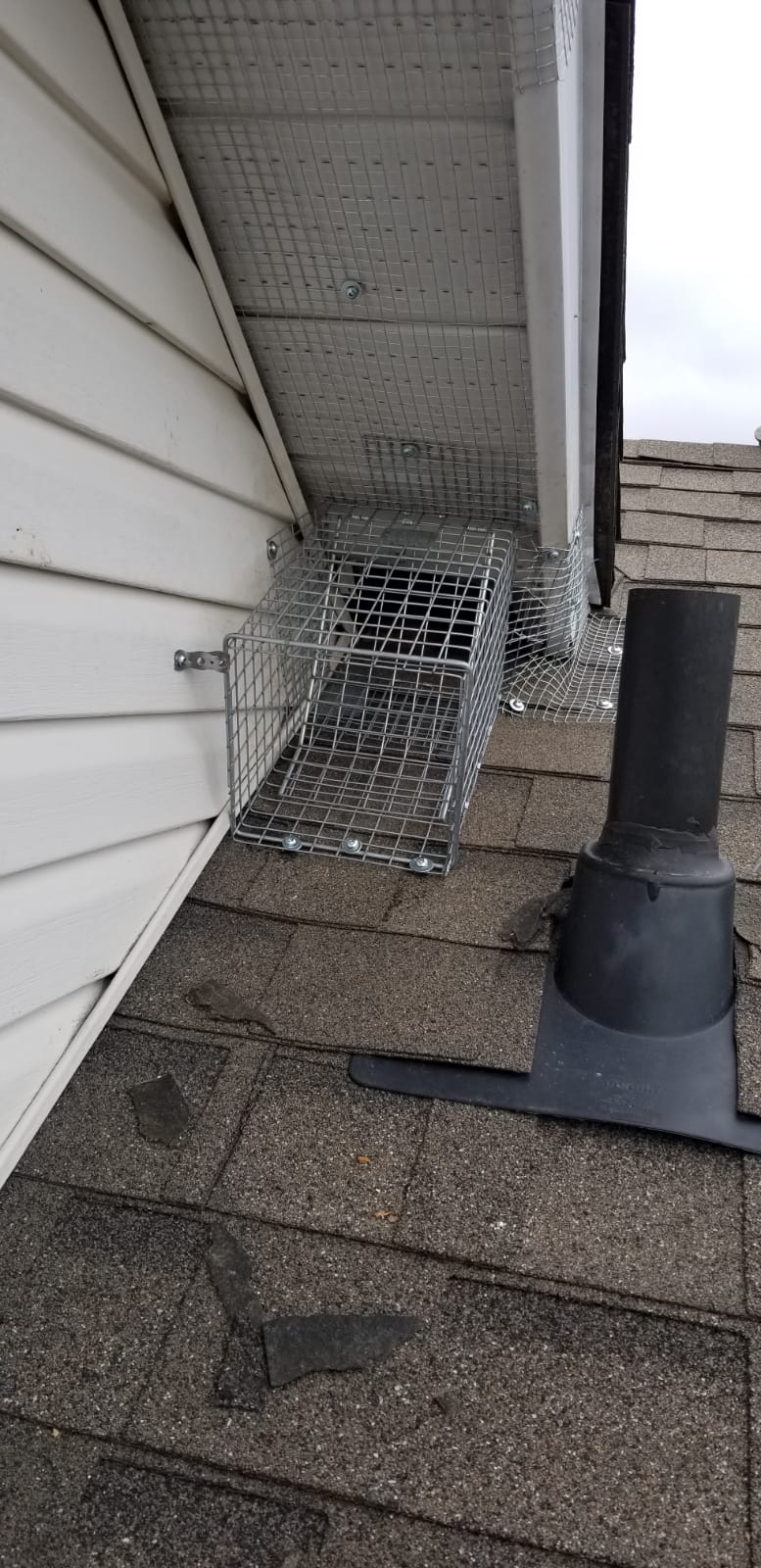Acon Pest Control | 38 W Normandy Dr, Markham, ON L6B 0A6, Canada | Phone: (647) 562-7378