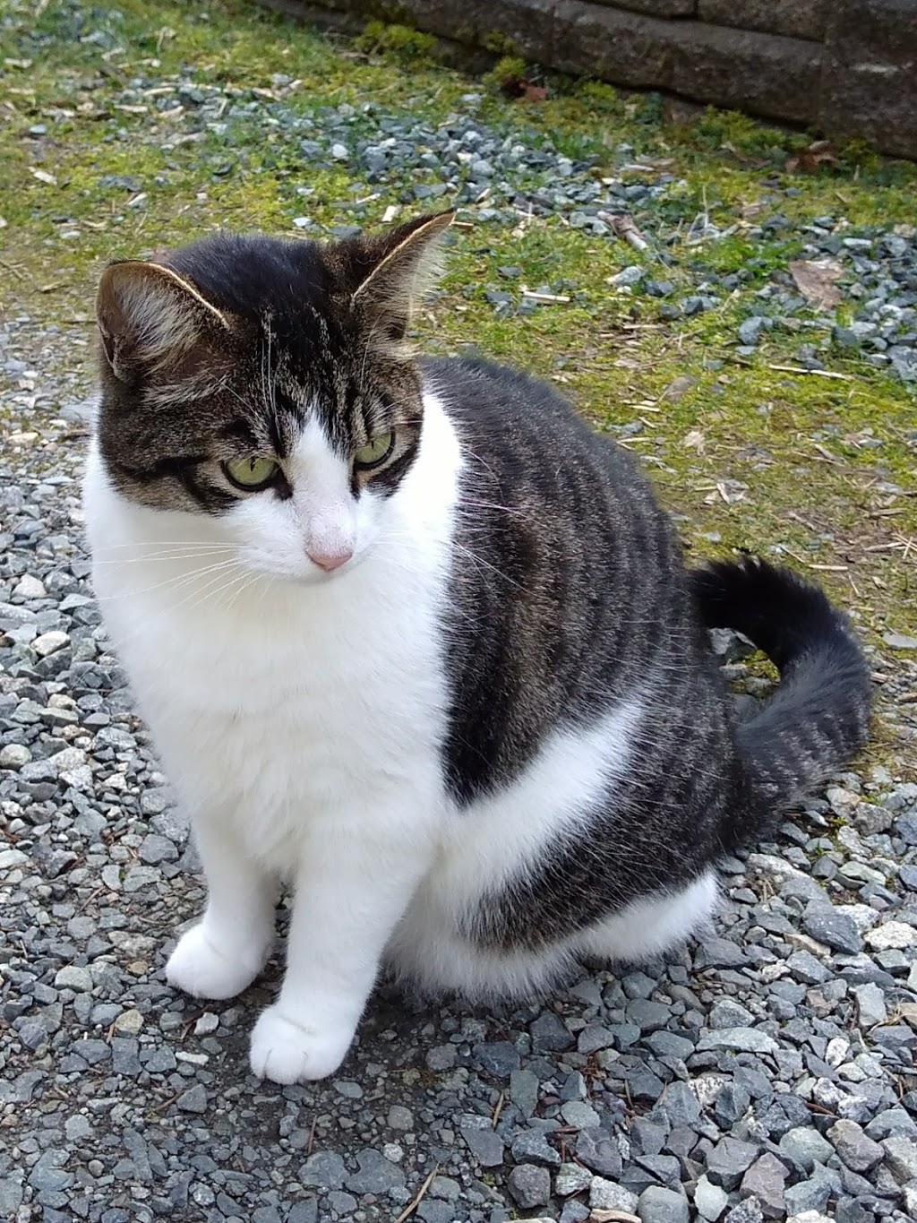 Deerholme Farm | 4830 Stelfox Rd, Duncan, BC V9L 6S9, Canada | Phone: (250) 748-7450