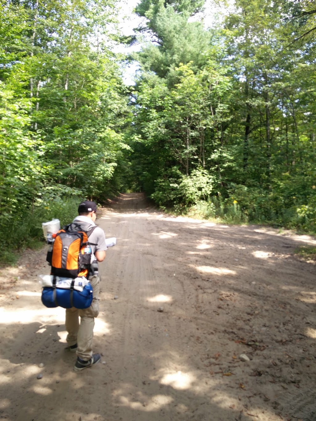 Ganaraska Forest | Clarington, ON L0B, Canada | Phone: (905) 885-8173