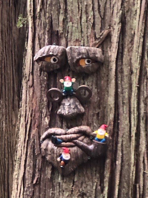 Enchanted Forest Trail | 2050 Benson Rd, Point Roberts, WA 98281, USA