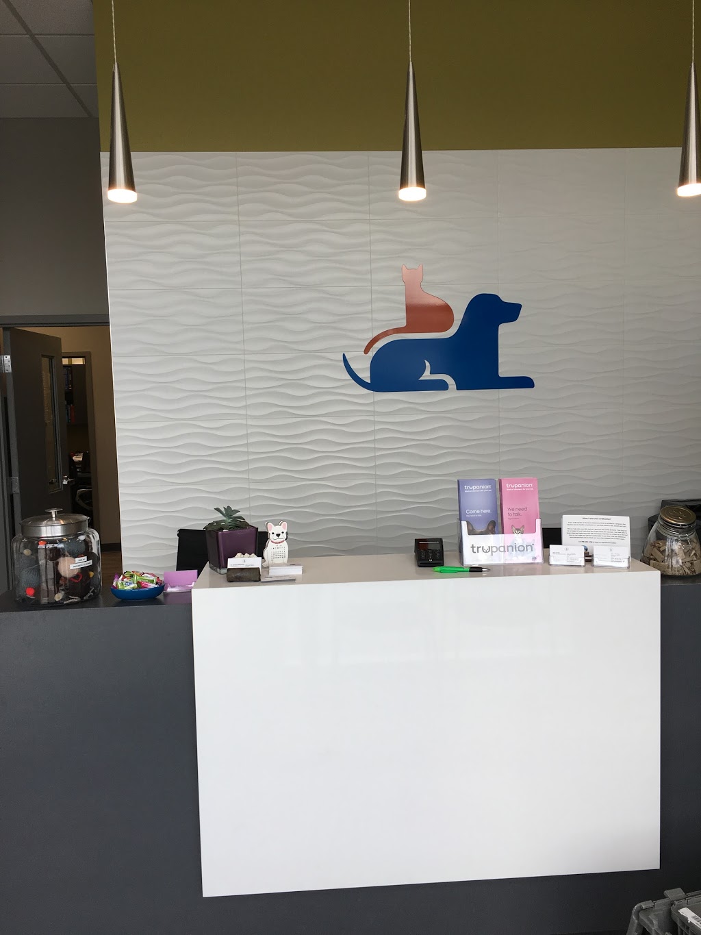 Tamarack Veterinary Clinic | 2531 17 St NW, Edmonton, AB T6T 0Y2, Canada | Phone: (780) 250-1700