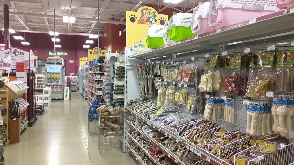 Petland | 6004 Currents Dr NW #6268, Edmonton, AB T6W 0L8, Canada | Phone: (587) 521-8210