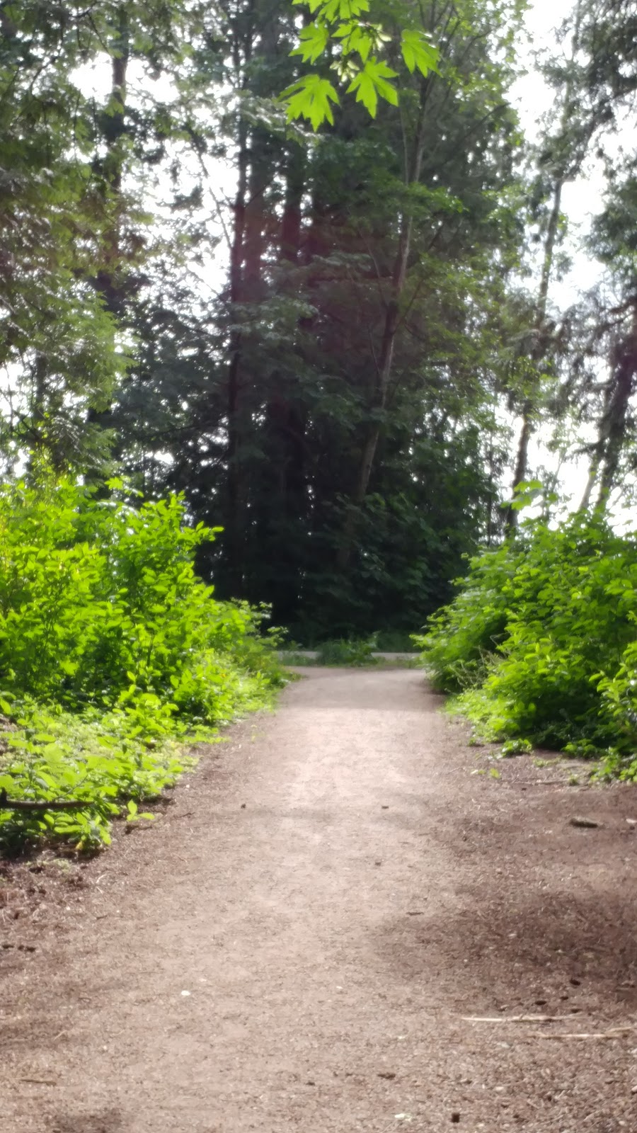 Bose Forest Park | 6203 164 St, Surrey, BC V3S 3V9, Canada | Phone: (604) 501-5050