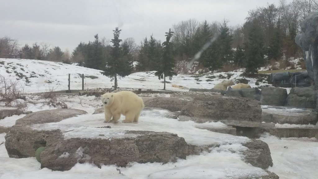 Toronto Zoo Administration | 361 Old Finch Ave A, Scarborough, ON M1B 5K7, Canada | Phone: (416) 392-5900