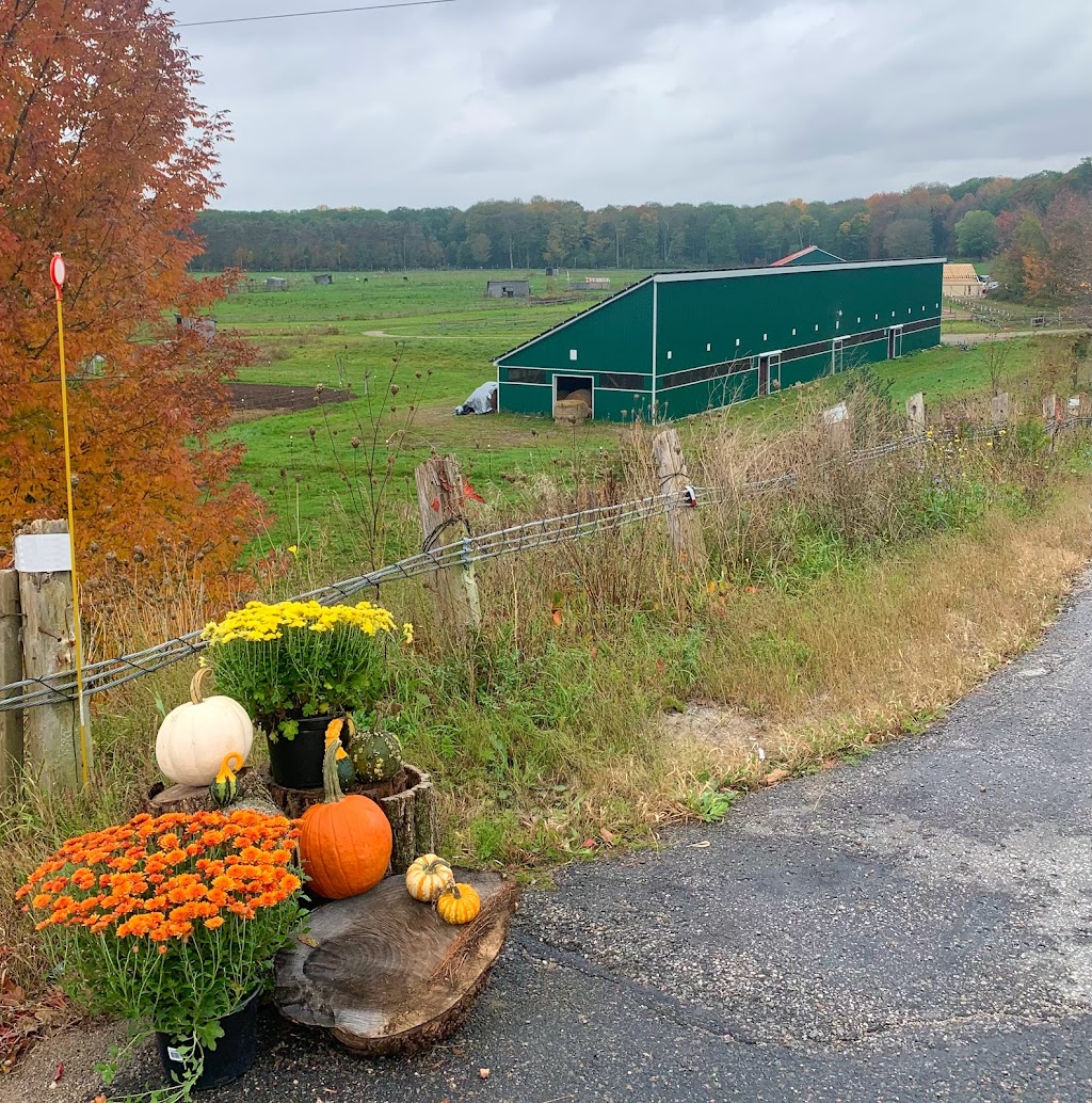 Freehand Farm Inc. | 5868 Penetanguishene Rd, Elmvale, ON L0L 1P0, Canada | Phone: (416) 844-4685