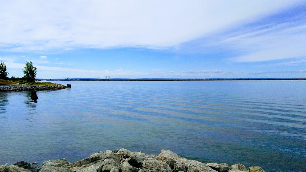 Times Beach Nature Preserve | Coast Guard Station S Rd, Buffalo, NY 14203, USA | Phone: (716) 896-1271