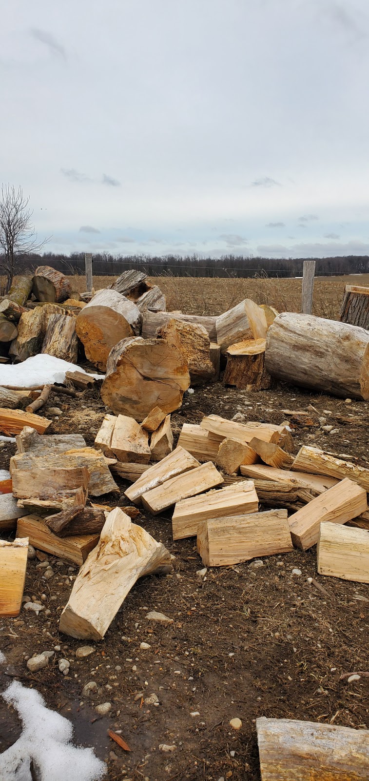 Spruce Green Tree Service | 5554 ON-23, Harriston, ON N0G 1Z0, Canada | Phone: (519) 638-0121