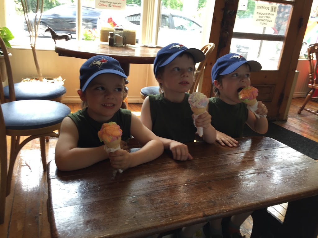 Thornton Cafe & Ice Cream | 236 Barrie St, Thornton, ON L0L 2N0, Canada | Phone: (705) 291-0188
