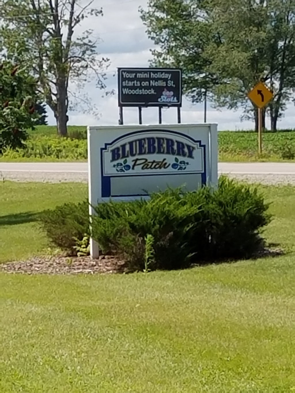 The Blueberry Patch | 289 Brant County Hwy 53, Burford, ON N0E 1A0, Canada | Phone: (519) 458-8066