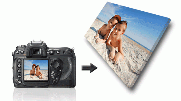 Canvas.ca | 3 Biscay Pl, St. Johns, NL A1G 0C4, Canada | Phone: (709) 351-0561