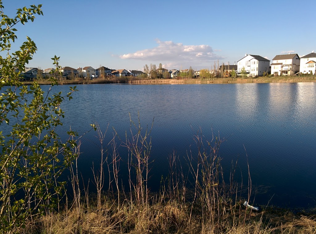 Rainbow Creek Elementary School | 285 W Creek Dr, Chestermere, AB T1X 0L2, Canada | Phone: (403) 273-8129