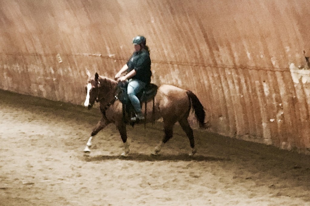 Hi Point Horsemanship | 42 Dacotah Rd, Dacotah, MB R4K 1C1, Canada | Phone: (204) 995-0048