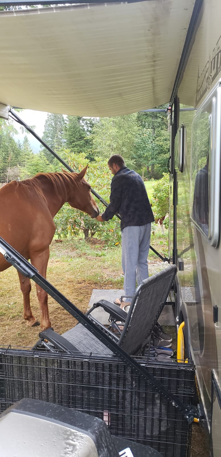 Mission Horse Boarding | 14323 Kontney Rd, Mission, BC V2V 0B8, Canada | Phone: (604) 785-7720