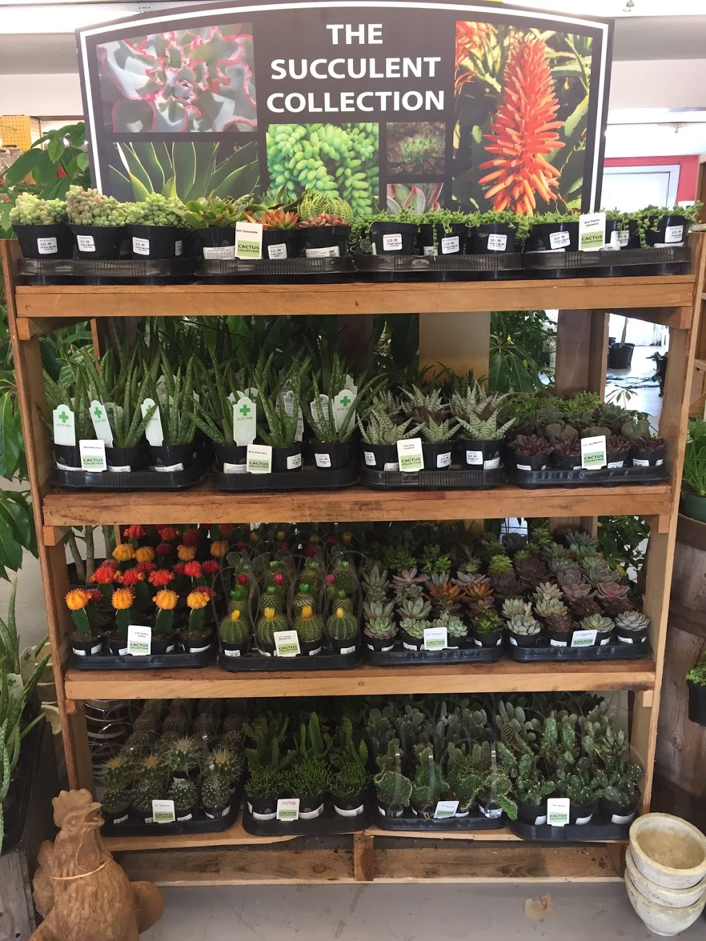 Lakeland Plant World | 909 Main St, Dartmouth, NS B2W 3V2, Canada | Phone: (902) 435-1983