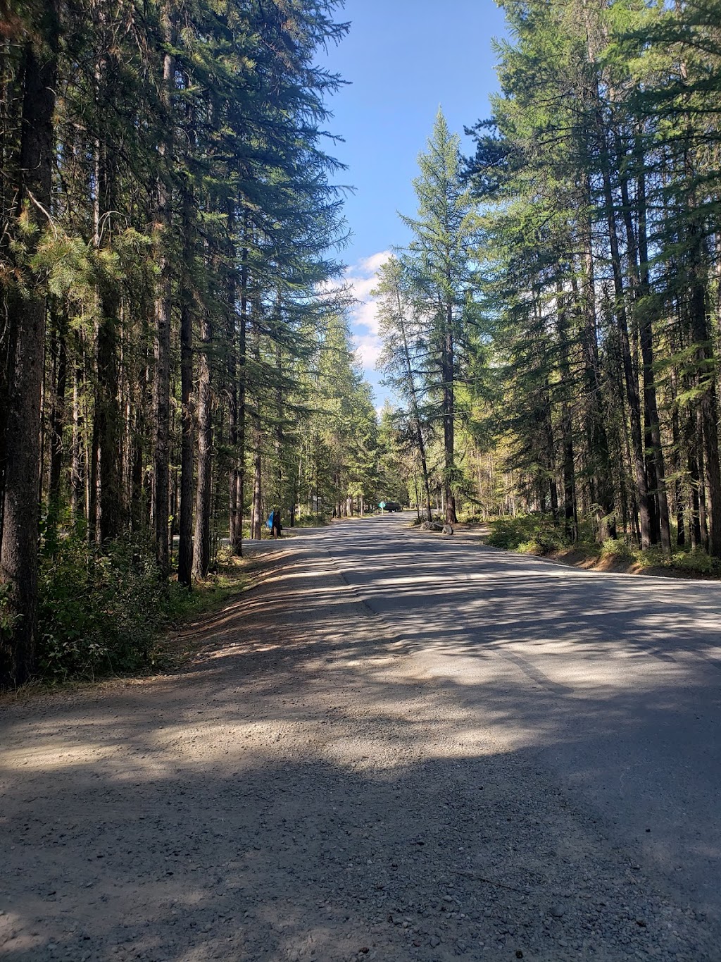 Moyie Lake Provincial Park | 3208 Brana Rd, Moyie, BC V0B 2A0, Canada | Phone: (800) 689-9025