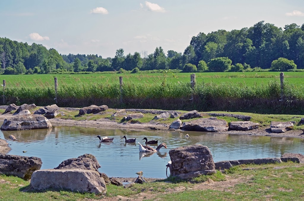 La Ferme dAndré 2.0 inc. | 1082 Chem. Upper Concession, Ormstown, QC J0S 1K0, Canada | Phone: (450) 829-2940