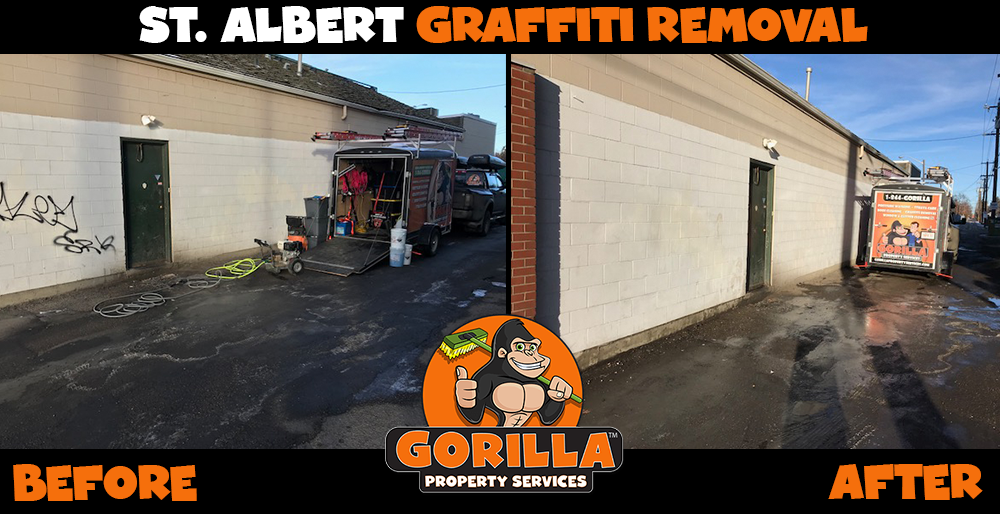 Gorilla Property Services | 8 Lynx Cl #23, St. Albert, AB T8N 5T2, Canada | Phone: (780) 851-7213