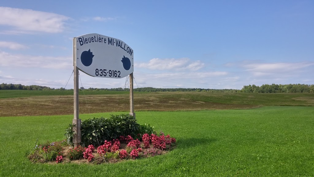 Bleuetiere Mi-Vallon | 375 Chem. Flanders, Compton, QC J0B 1L0, Canada | Phone: (819) 835-9162