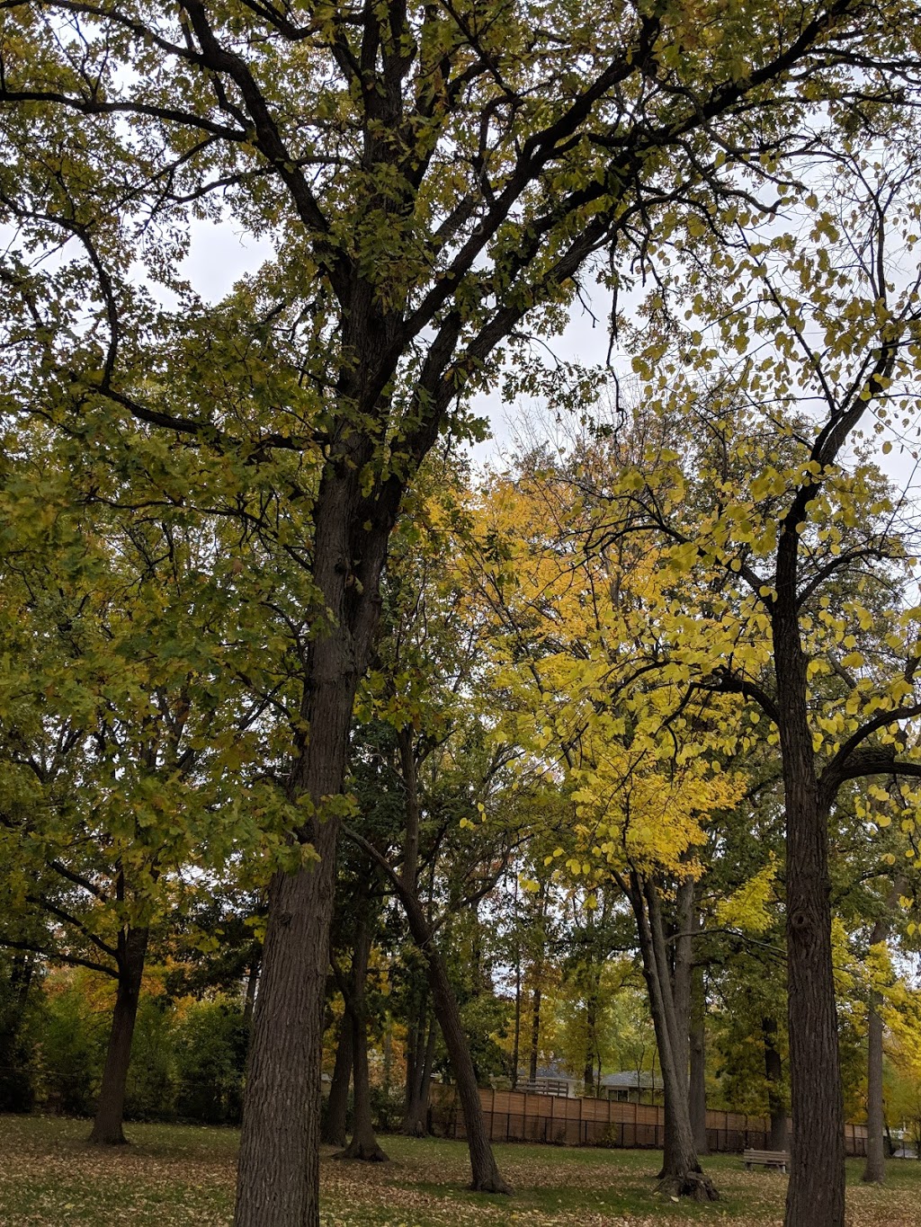 Forster Park | 100 N Forster Park Dr, Oakville, ON L6K 1Z3, Canada