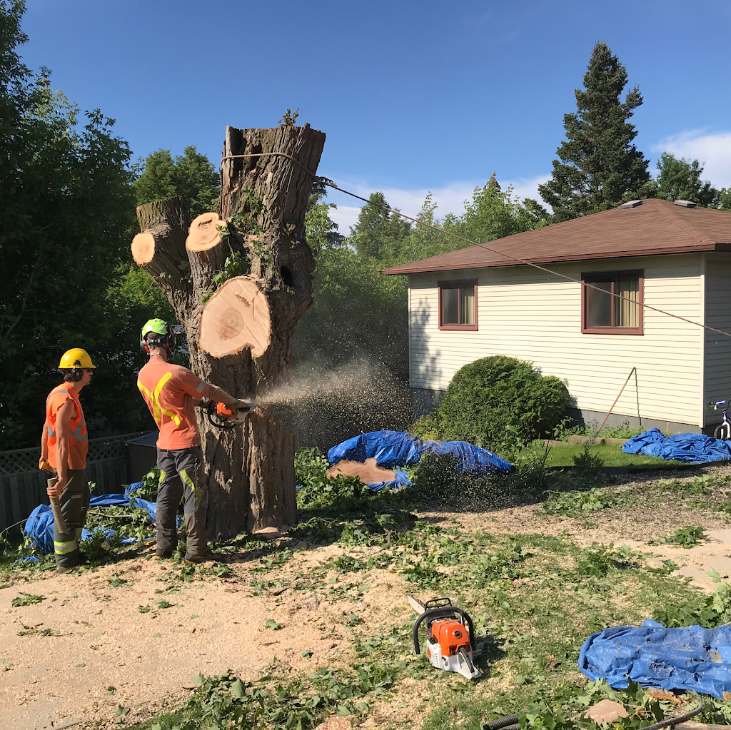 Macarthurs Tree And Home Services Inc. | 114 Arborglen Dr, Georgetown, ON L7G 6L4, Canada | Phone: (416) 414-2739