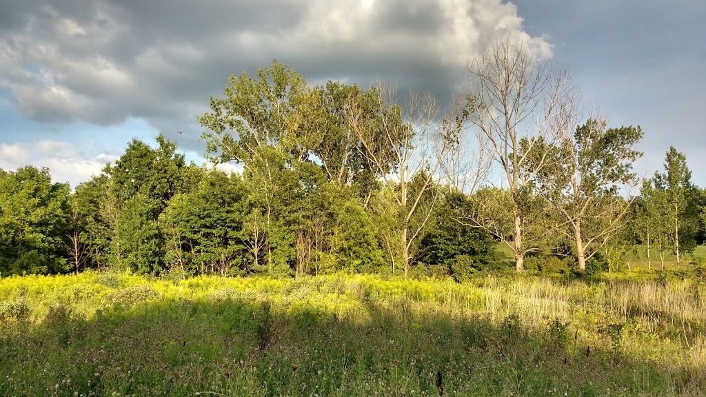 West Deane Park | 376 Martin Grove Rd, Etobicoke, ON M9B 4L9, Canada