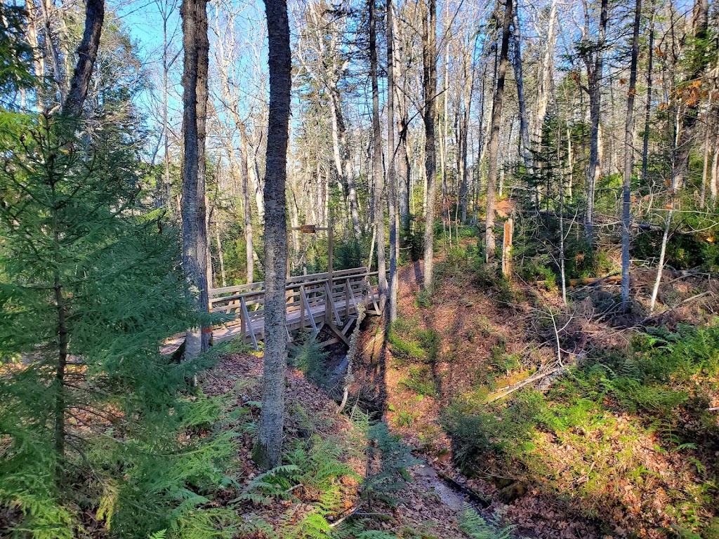 Bonshaw Provincial Park | 132 Riverdale Rd, Bonshaw, PE C0A 1C0, Canada | Phone: (902) 368-4791