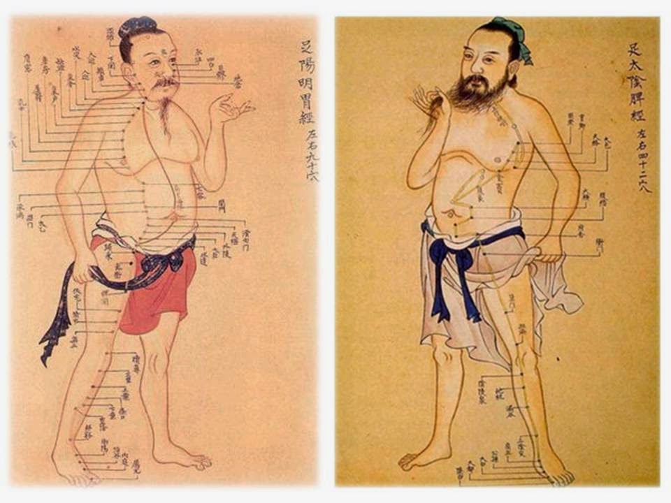 Acupuncture Chinoise HY TRAN de Sherbrooke 中國針灸診所 | 99 Rue Gordon, Sherbrooke, QC J1H 4Y4, Canada | Phone: (819) 822-1153