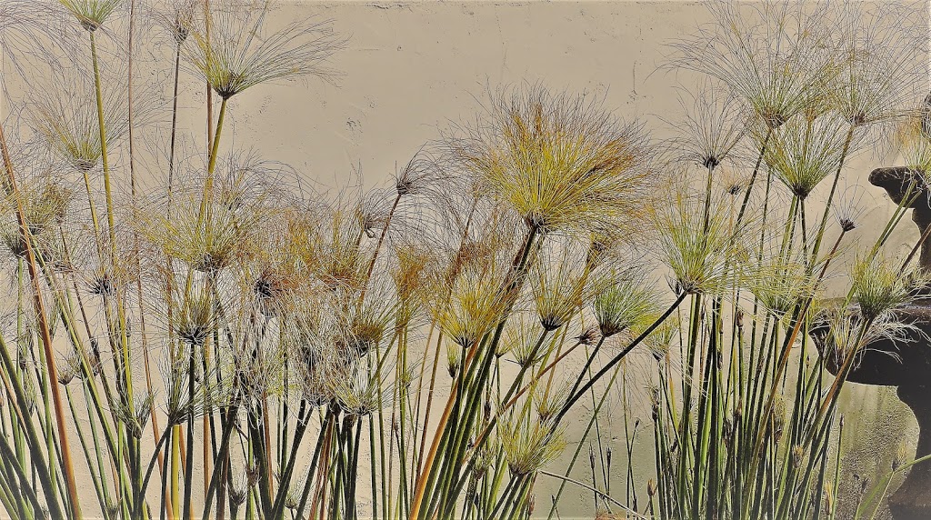 Seahouse Gallery | 2905 Fulford-Ganges Rd, Salt Spring Island, BC V8K 1X6, Canada | Phone: (250) 537-6413