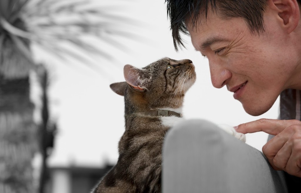 VCA Canada Dalhousie Varsity Animal Hospital | 5005 Dalhousie Dr NW #405, Calgary, AB T3A 5R8, Canada | Phone: (403) 284-2265