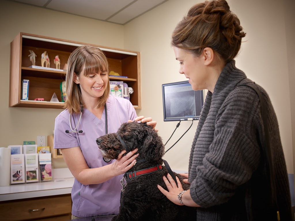 Richview Animal Hospital | 250 Wincott Dr unit 33, Etobicoke, ON M9R 2R5, Canada | Phone: (416) 245-8805