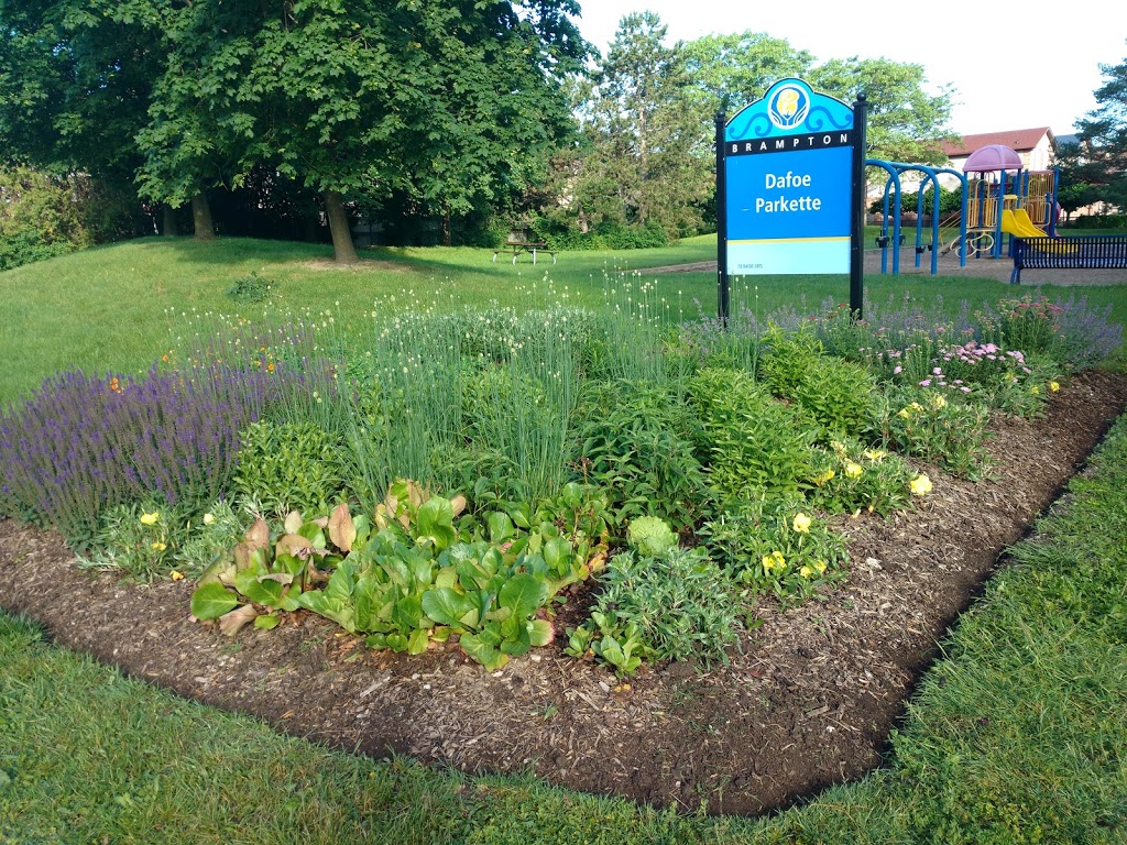 Dafoe Parkette | Charolais Blvd, Brampton, ON L6Y 2L2, Canada