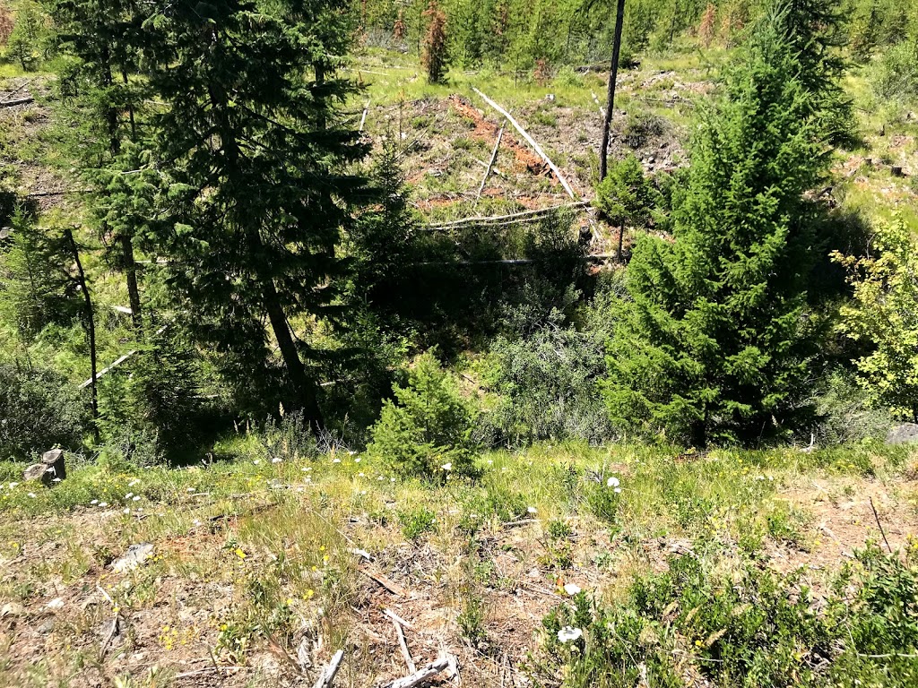 Bella Lago Properties | Kootenay Boundary E, BC V0H 1B0, Canada | Phone: (604) 726-6664