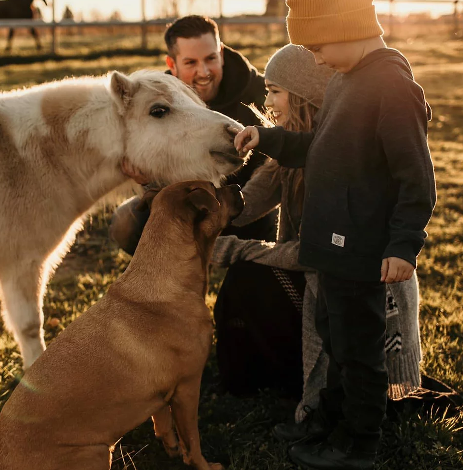 Unbridled Discovery Farm | 36936 McKamey Rd, Fraser Valley, BC V2V 6T1, Canada | Phone: (604) 613-2279
