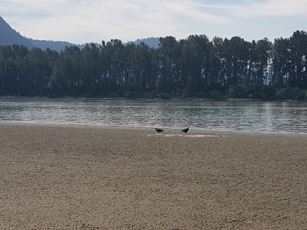 Strawberry Island | Trans Canada Trail, Fraser Valley G, BC V0M 1H0, Canada