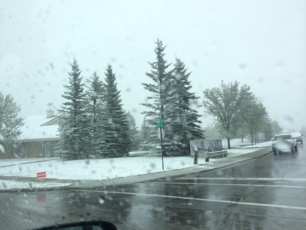 Gwacheon Park | Airdrie, AB T4B 1A4, Canada