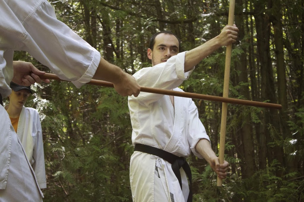 Jitsu-Do Karate | 1211 Gorham St #5, Newmarket, ON L3Y 8Y3, Canada | Phone: (905) 235-9119