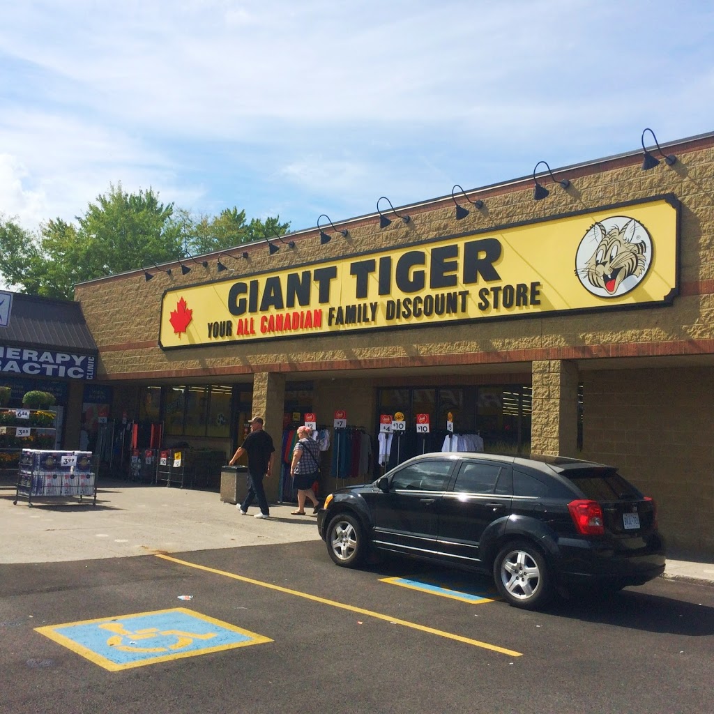 Giant Tiger | 800 Queenston Rd, Stoney Creek, ON L8G 1A7, Canada | Phone: (905) 664-6365