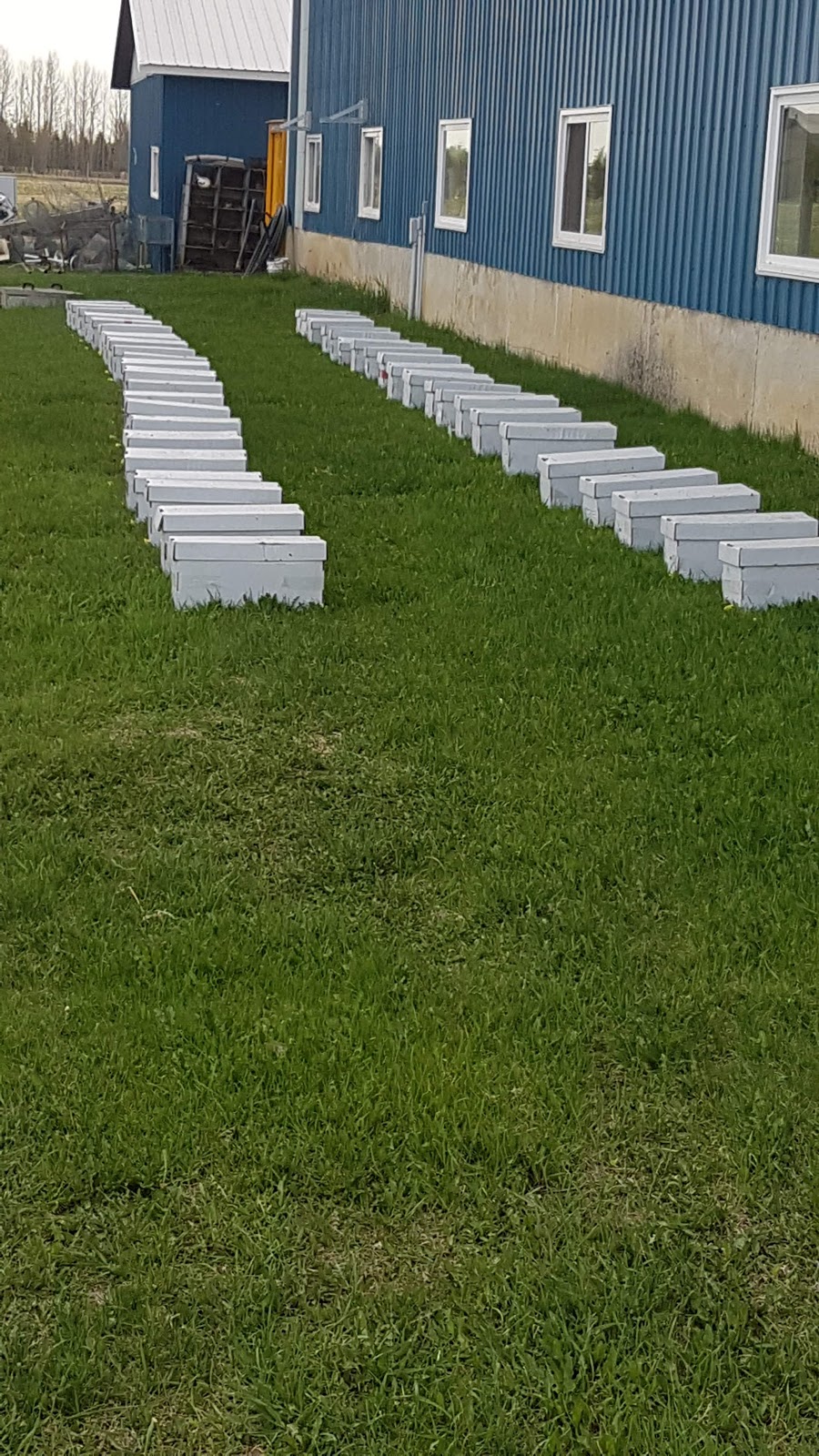 Greidanus Apiaries | 56107 Range Rd 245, Legal, AB T0G 1L0, Canada | Phone: (780) 220-5663