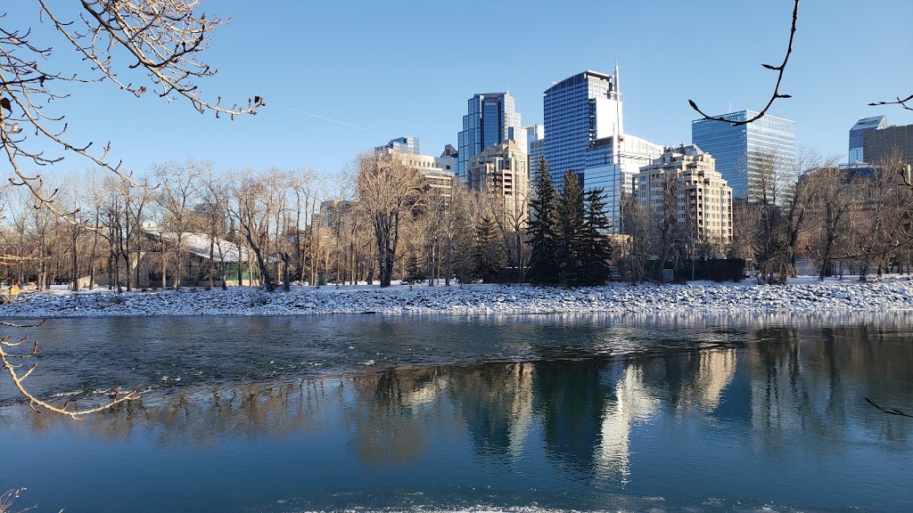 Anita Lamarche Realtor | 168, 8060 Silver Springs Blvd NW, Calgary, AB T3B 5K1, Canada | Phone: (403) 818-9623