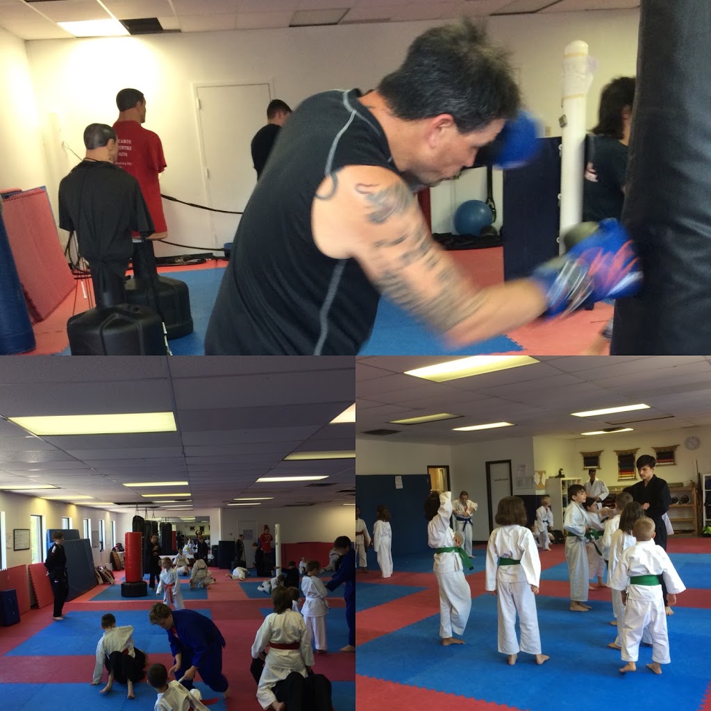 Defensive Arts Training Centre | 103 Lakeshore Rd #208, St. Catharines, ON L2N 2T1, Canada | Phone: (905) 704-0374