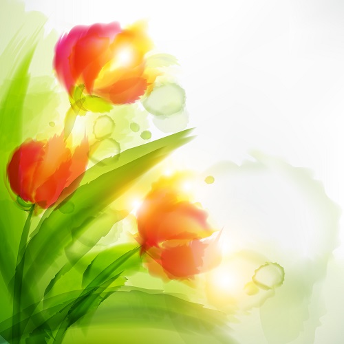 Circa 1894 Day Spa | 1131 3rd Concession Dalhousie, Lanark, ON K0G 1K0, Canada | Phone: (613) 259-9988