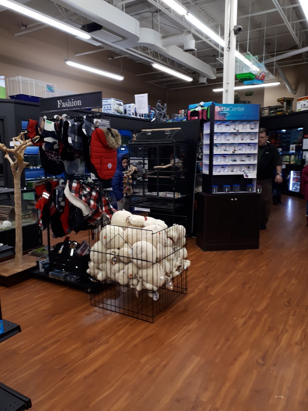 Paulmacs Pets | 410 Fairview Dr, Brantford, ON N3R 7V7, Canada | Phone: (519) 756-7710