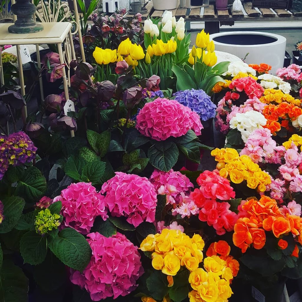 Better Earth Gardens & Tropicals | 1629 K. L. O. Rd, Kelowna, BC V1W 3P3, Canada | Phone: (250) 861-1881