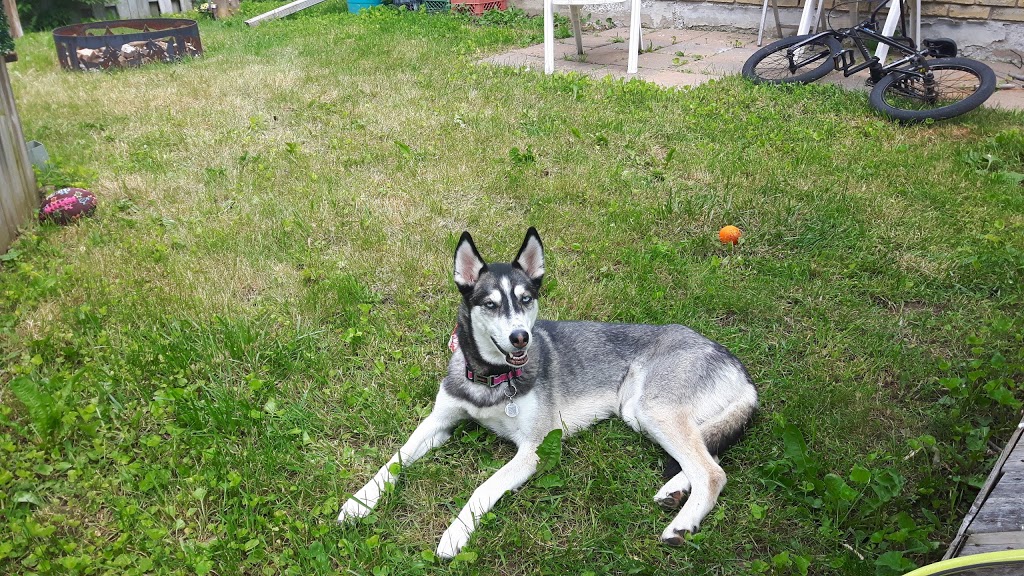 Peterborough West Animal Hospital | 2605 Stewart Line, Cavan, ON L0A 1C0, Canada | Phone: (705) 745-4800