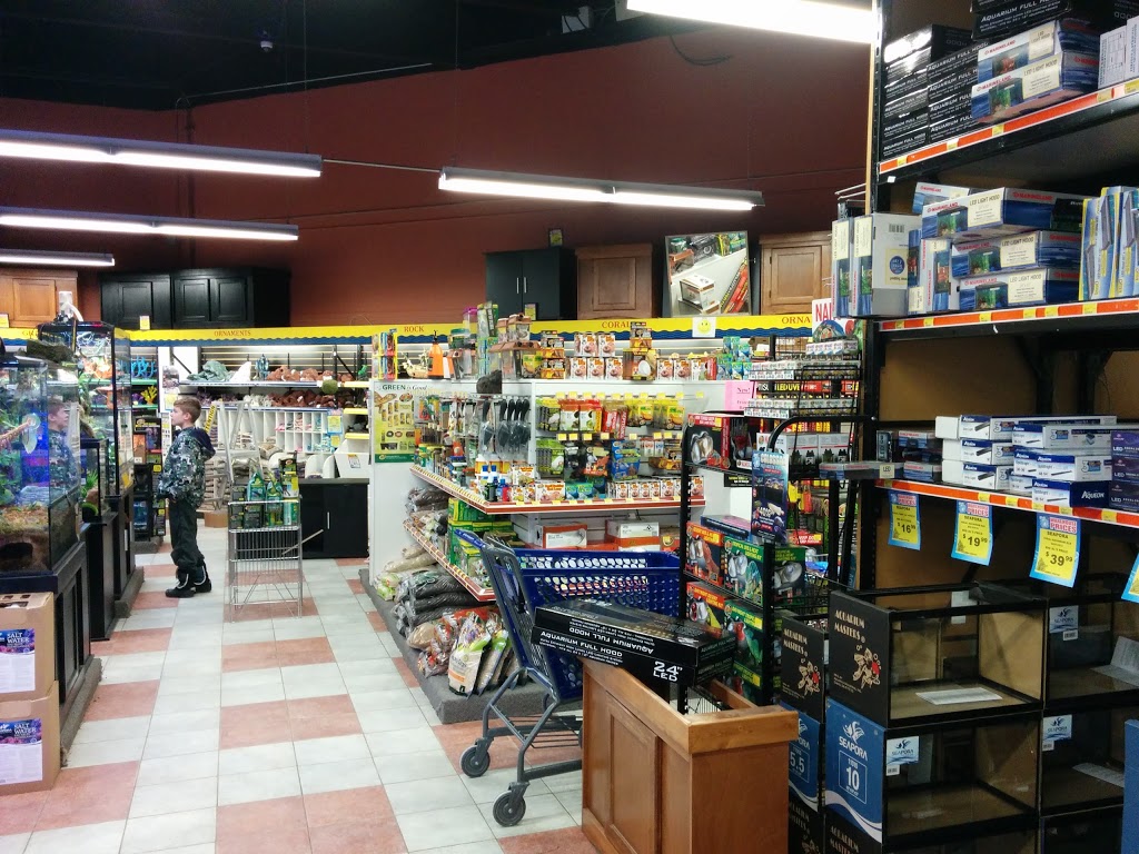 Big Als Aquarium Supercentres - Ottawa | 1900 Innes Rd, Gloucester, ON K1B 3K5, Canada | Phone: (613) 244-3474